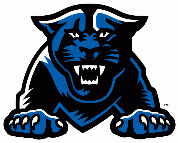 Georgia State Panthers 2010-Pres Partial Logo iron on transfers for fabric